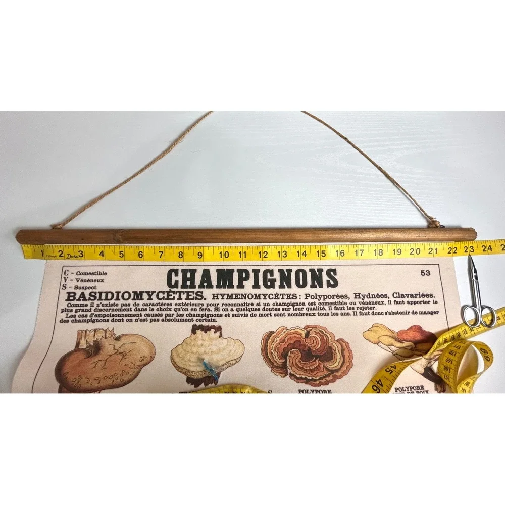 Vintage French Mushroom Botanical Scroll Wall Hanging Canvas Fungi Chart Art